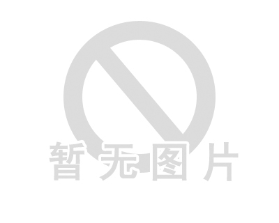 全球传动滚珠丝杆